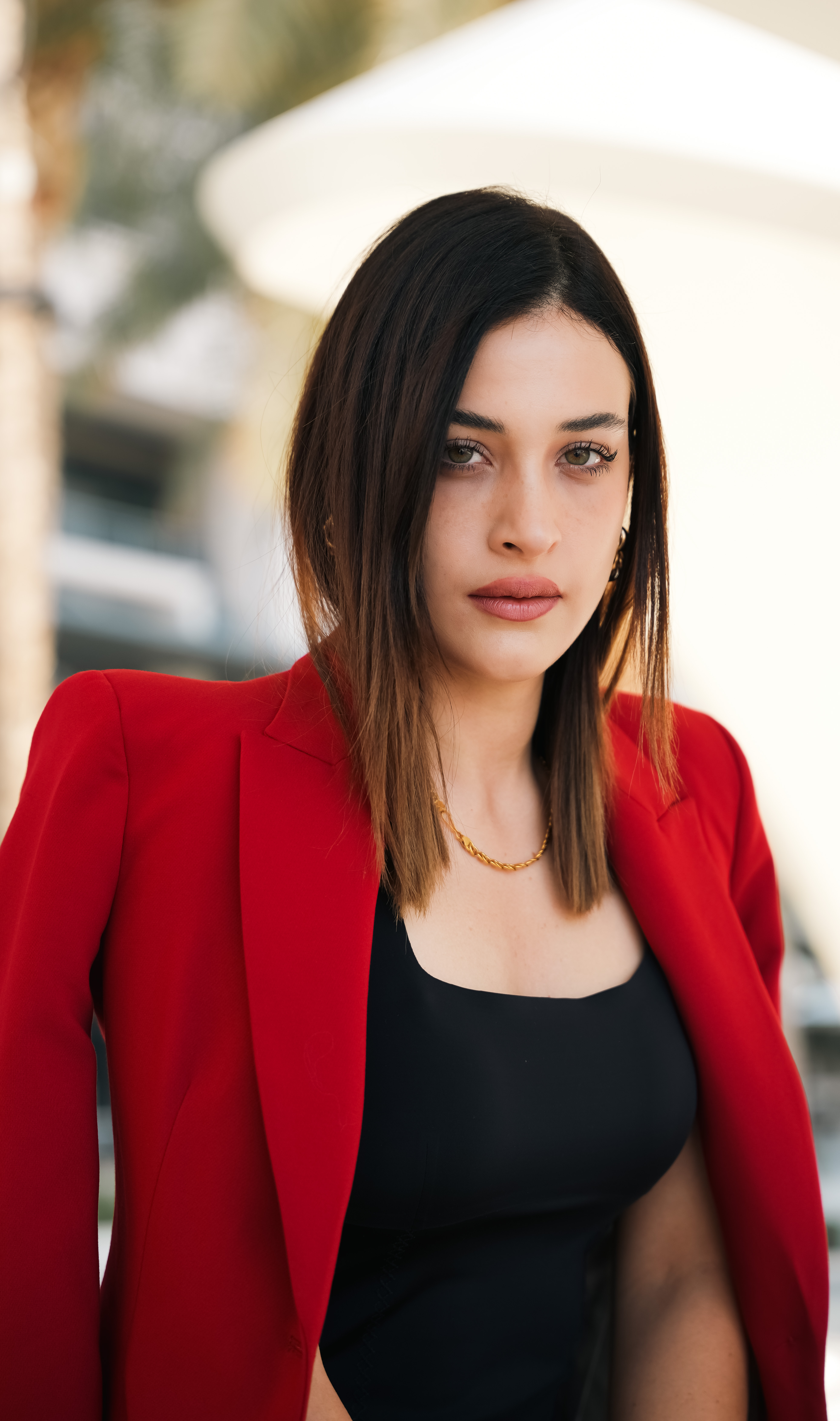 Model Image