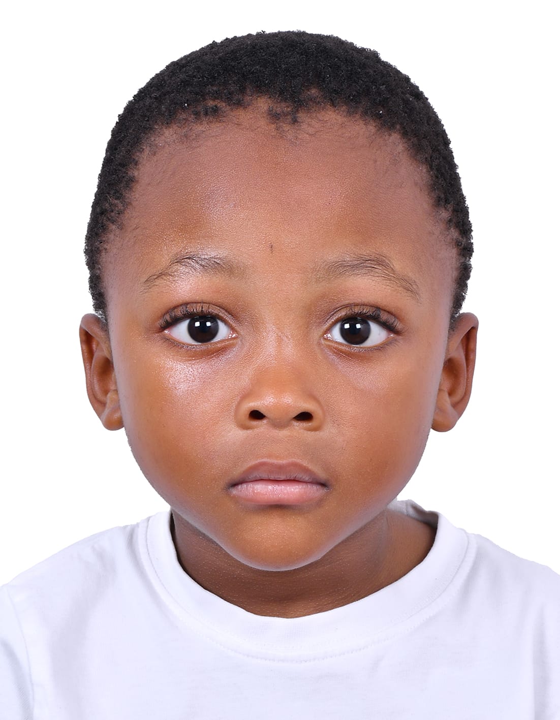 Model Image
